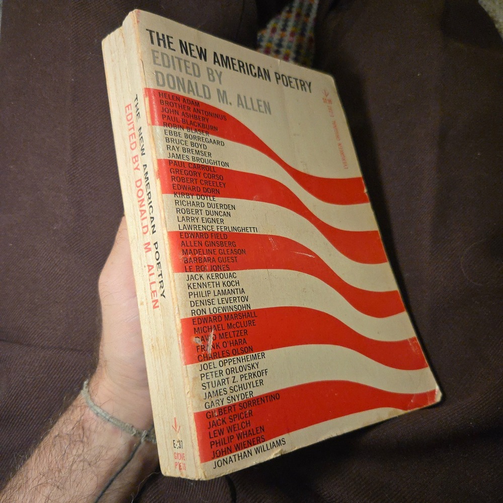 1960 Beat Poet Paperback Book The New American Poetry‎ Book Grove Press USA VTG